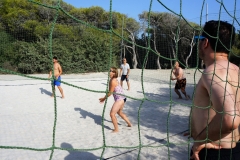DSC04221
