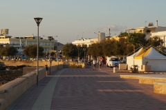DSC04266