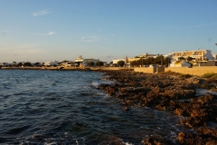 DSC04267